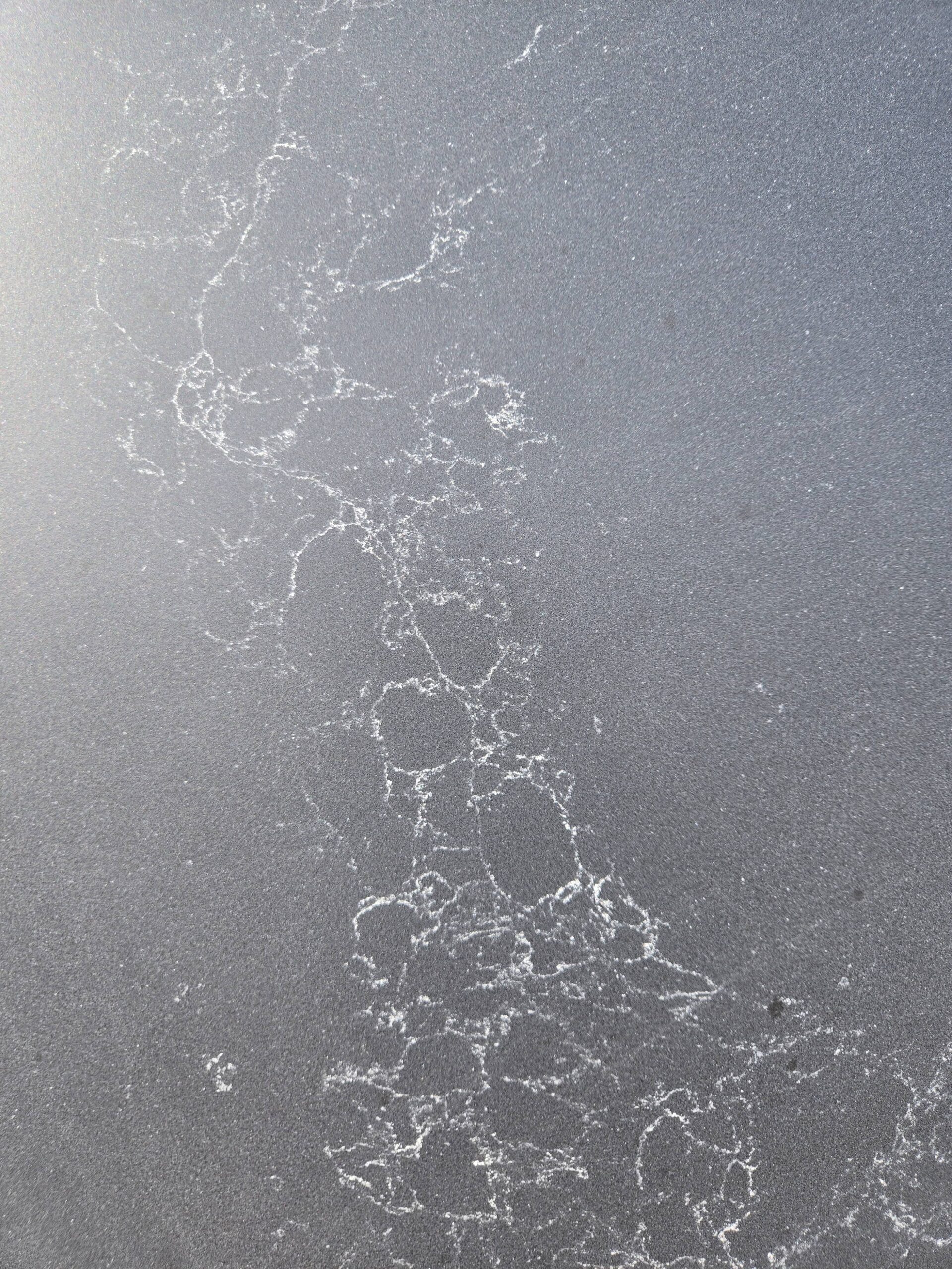 Calacatta Noir Leather 12-20-23 (close)